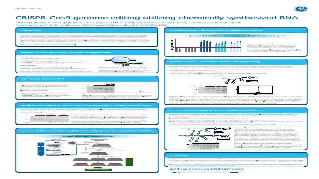 CRISPR-Cas9 genome editing utilizing chemically synthesized RNA