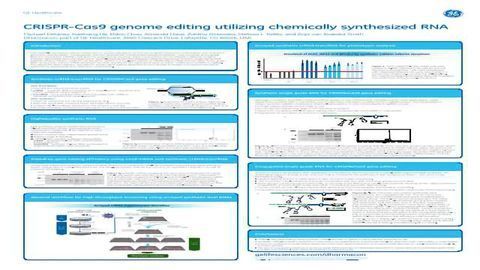 CRISPR-CAS9基因组编辑利用化学合成的RNA