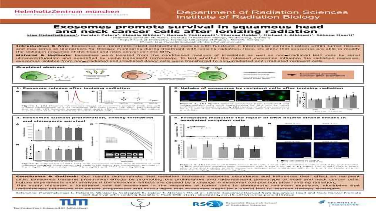 Exosomes Promote Survival in Squamous Head and Neck Cancer Cells after Ionizing Radiation