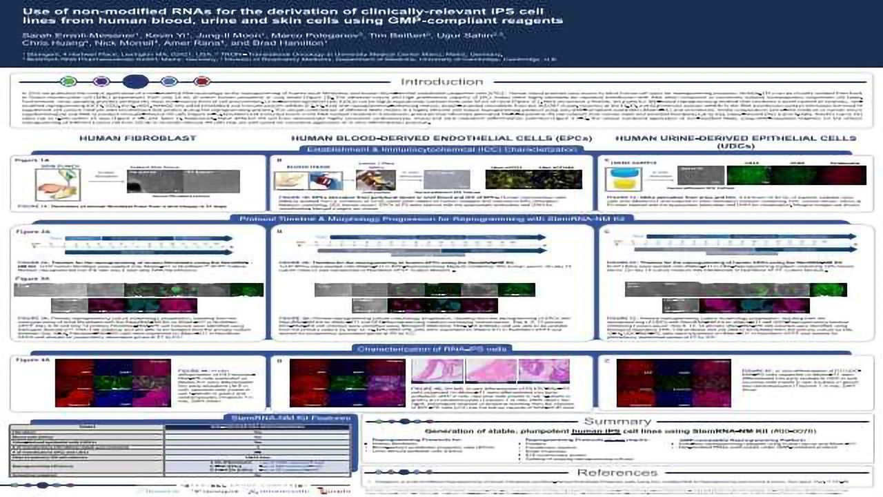 Use of Non-modified RNAs for the Derivation of Clinically-relevant iPS Cell Lines from Human Blood, Urine and Skin Cells using GMP-compliant Reagents