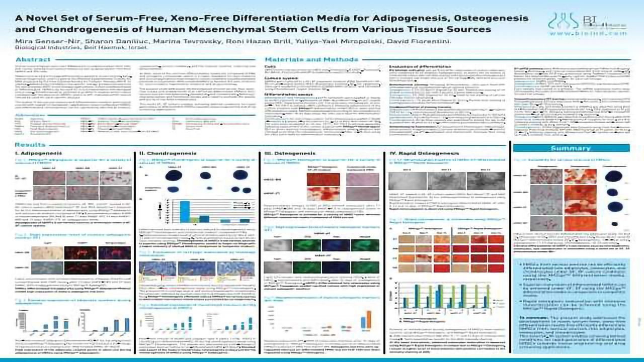A Novel Set of Serum-Free, Xeno-Free Differentiation Media for Adipogenesis, Osteogenesis and Chondrogenesis of Human Mesenchymal Stem Cells from Various Tissue Sources