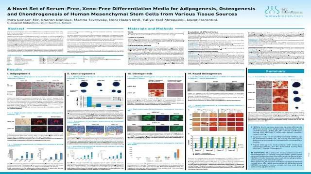 A Novel Set of Serum-Free, Xeno-Free Differentiation Media for ...
