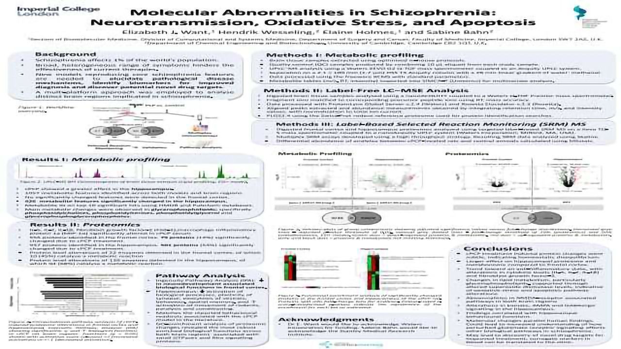 Molecular Abnormalities in Schizophrenia: Neurotransmission, Oxidative Stress, and Apoptosis