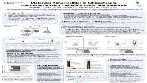 Molecular Abnormalities in Schizophrenia: Neurotransmission, Oxidative Stress, and Apoptosis