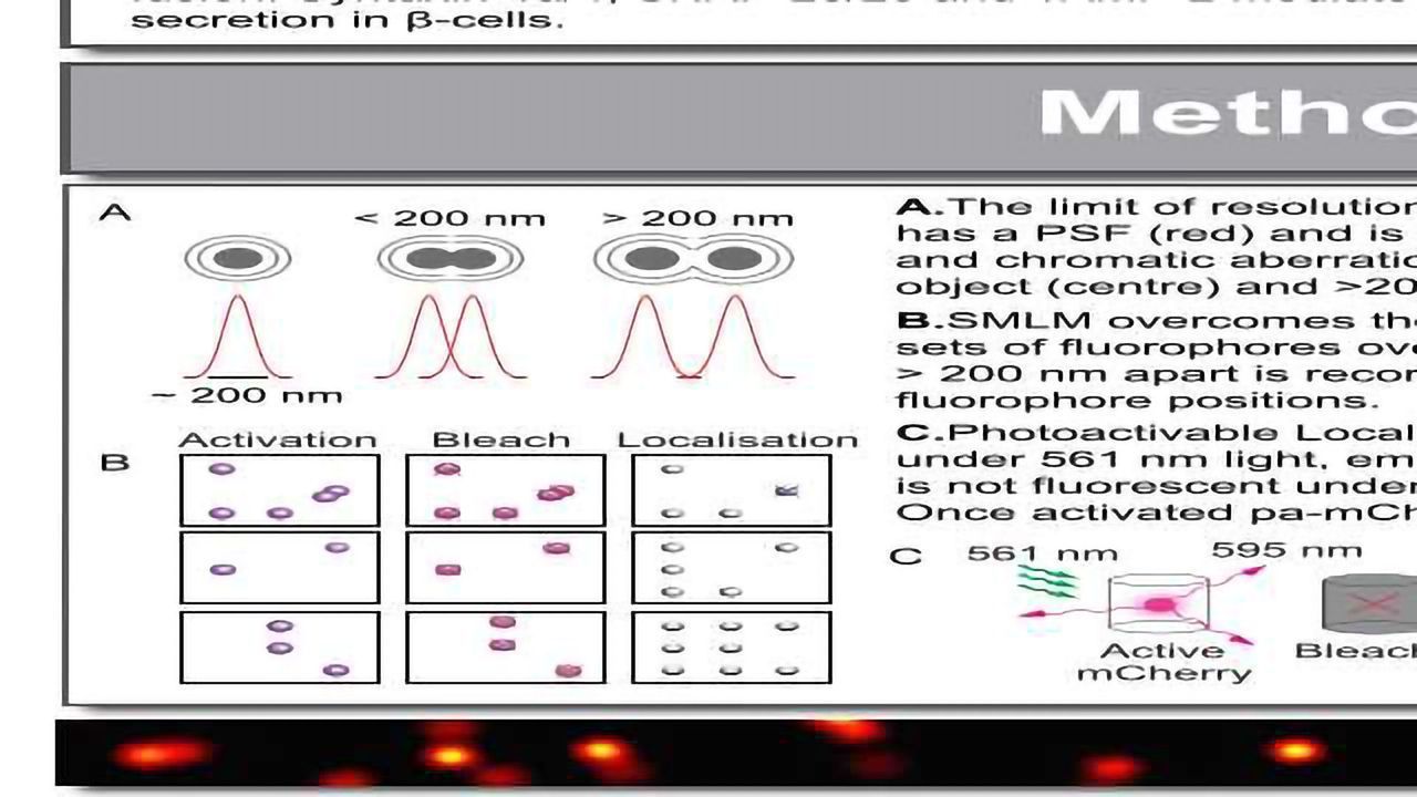 Super-resolution Single Molecule Localization Microscopy of the Exocytotic Machinery Underlying Insulin Secretion