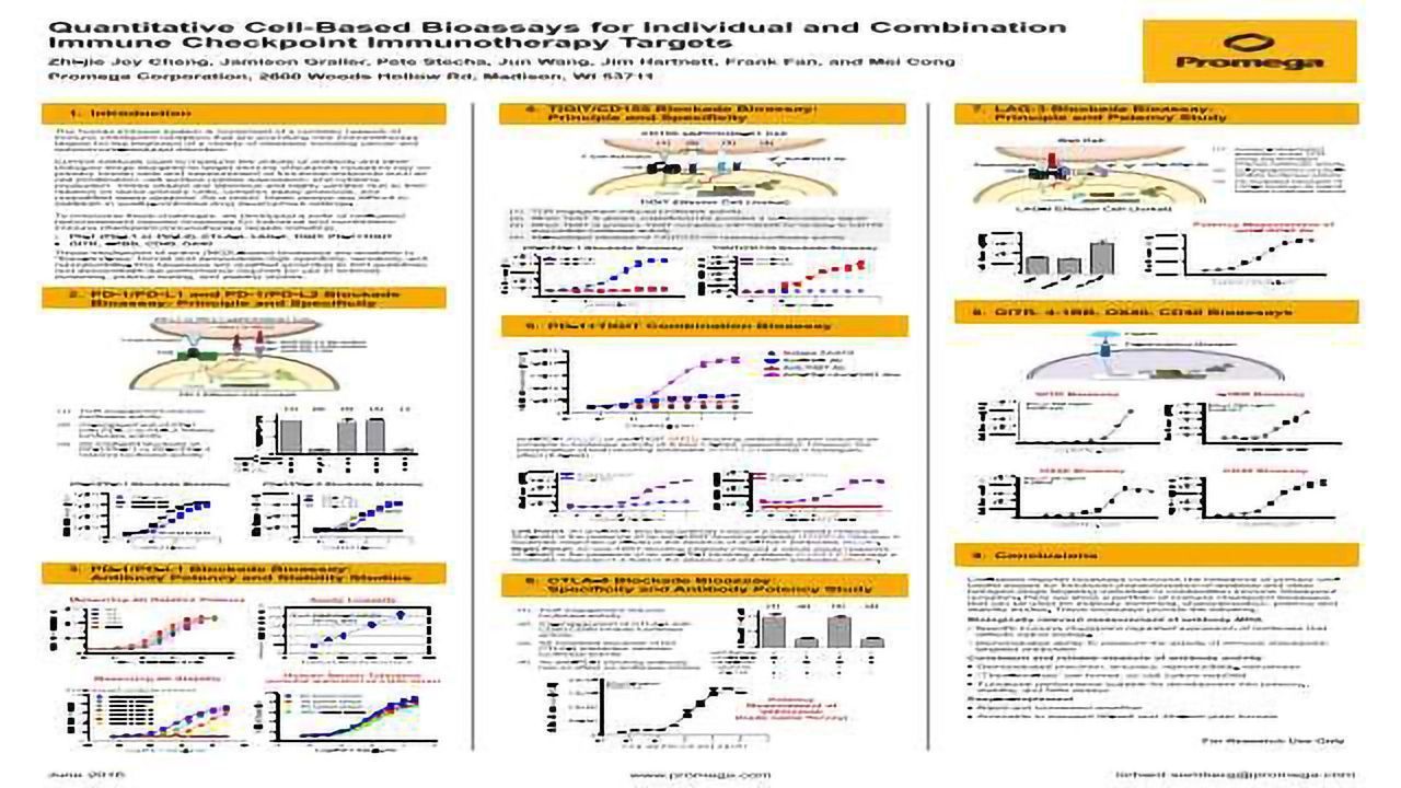 Quantitative Cell-Based Bioassays for Individual and Combination Immune Checkpoint Immunotherapy Targets