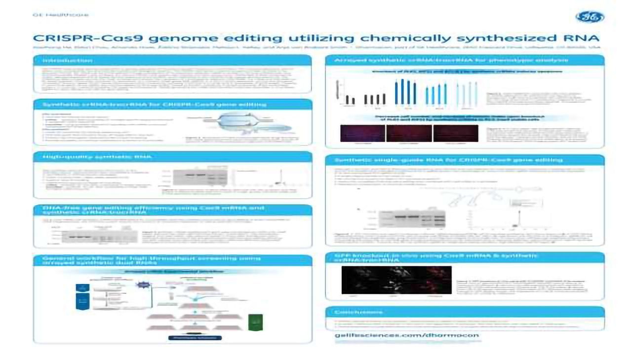 CRISPR-Cas9 Genome Editing Utilizing Chemically Synthesized RNA