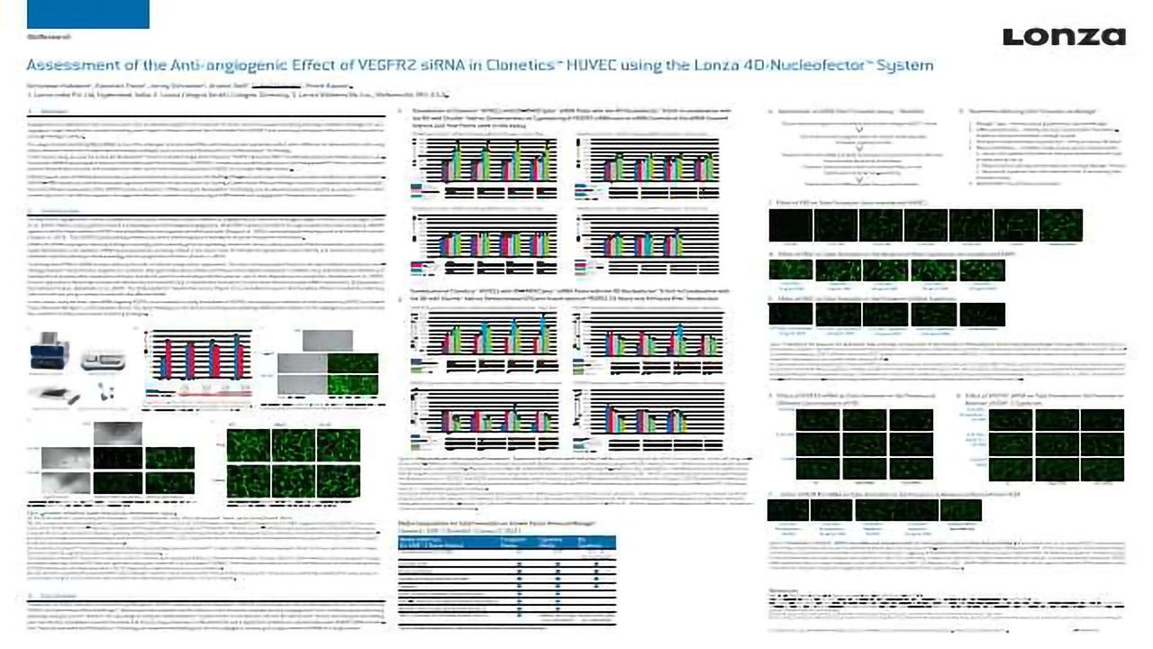 Assessment of the Anti-angiogenic Effect of VEGFR2 siRNA in Clonetics™ HUVEC using the Lonza 4D-Nucleofector™ System