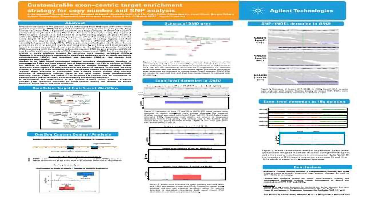 Customizable Exon-centric Target Enrichment Strategy for Copy Number and SNP Analysis