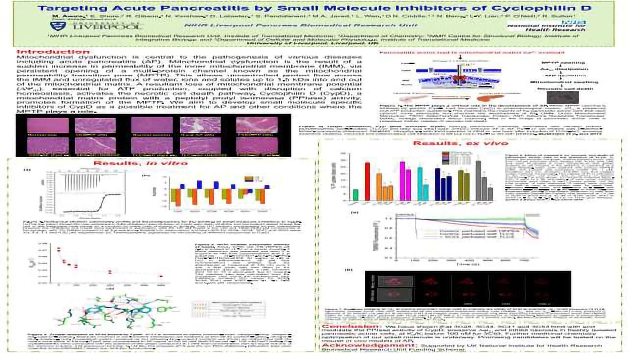 Targeting Acute Pancreatitis by Small Molecule Inhibitors of Cyclophilin D