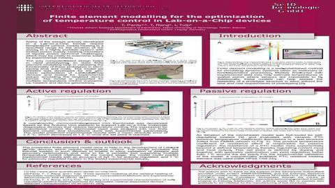 Finite Element Modelling for the Optimization of Temperature Control in Lab-on-a-Chip Devices