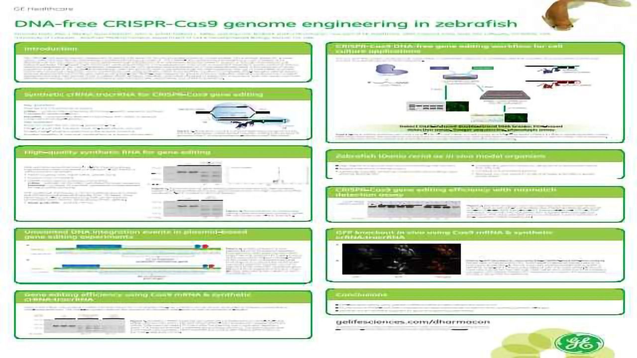 DNA-free CRISPR-Cas9 Genome Engineering in Zebrafish