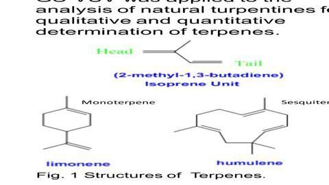 Analysis of Terpenes Using Gas Chromatography with Vacuum Ultraviolet