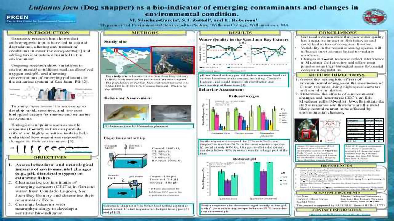 Lutjanus jocu (Dog snapper) as a bio-indicator of emerging contaminants and changes in environmental condition.