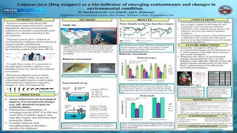 Lutjanus jocu (Dog snapper) as a bio-indicator of emerging contaminants and changes in environmental condition.