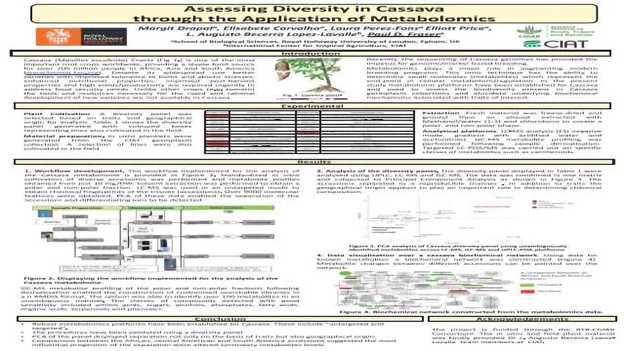 Assessing Diversity in Cassava through the Application of Metabolomics