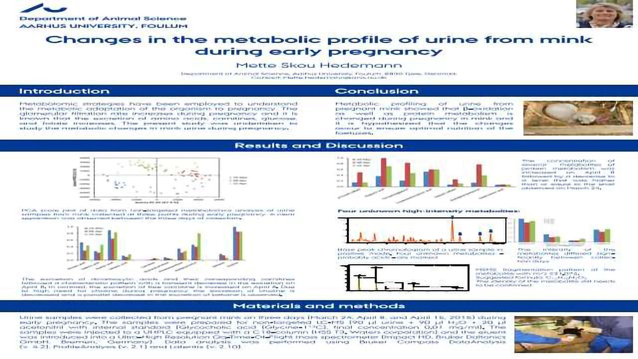 Changes in the metabolic profile of urine from mink during early pregnancy