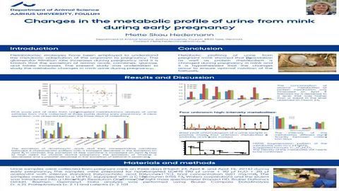Changes in the metabolic profile of urine from mink during early pregnancy