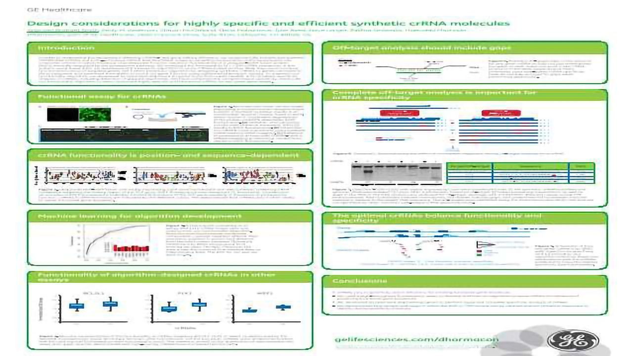Design Considerations for Highly Specific and Efficient Synthetic crRNA Molecules