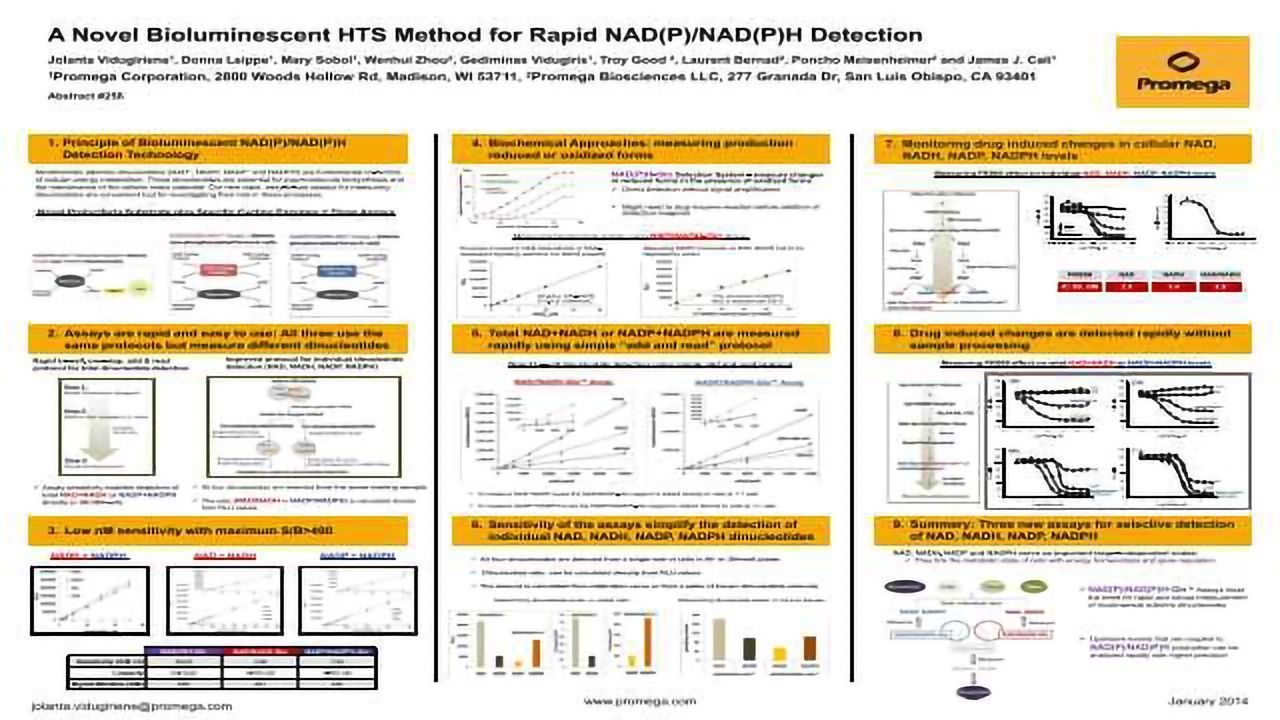 A Novel Bioluminescent HTS Method for Rapid NAD(P)/NAD(P)H Detection Poster