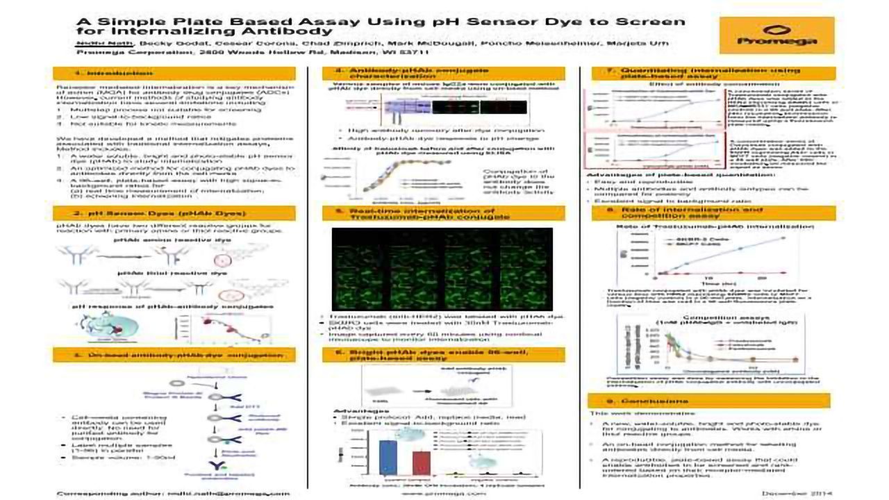A Simple Plate Based Assay Using pH Sensor Dye to Screen for Internalizing Antibody