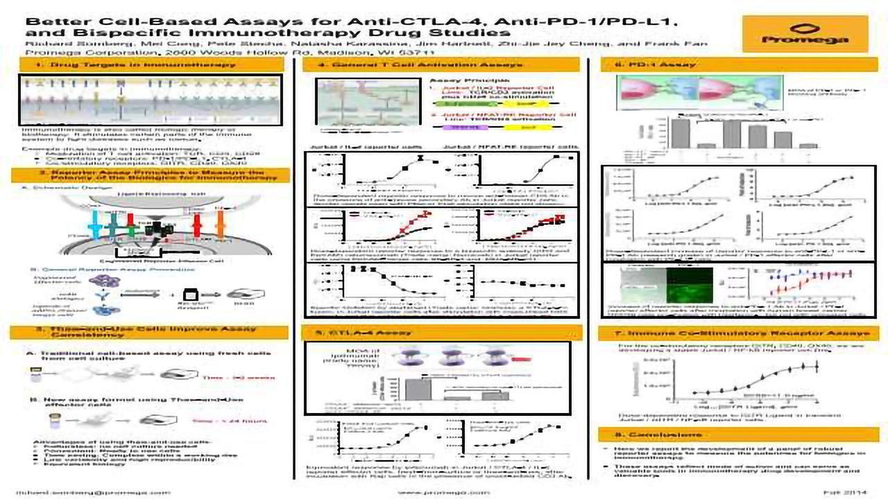 Better Cell-Based Assays for Anti-CTLA-4, Anti-PD-1/PD-L1, and Bispecific Immunotherapy Drug Studies