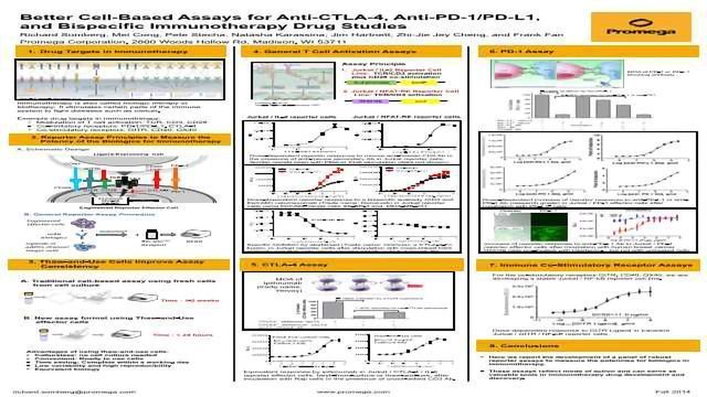 更好的细胞化验Anti-CTLA-4, Anti-PD-1 / PD-L1和双特异性免疫治疗药物研究内容块的形象
