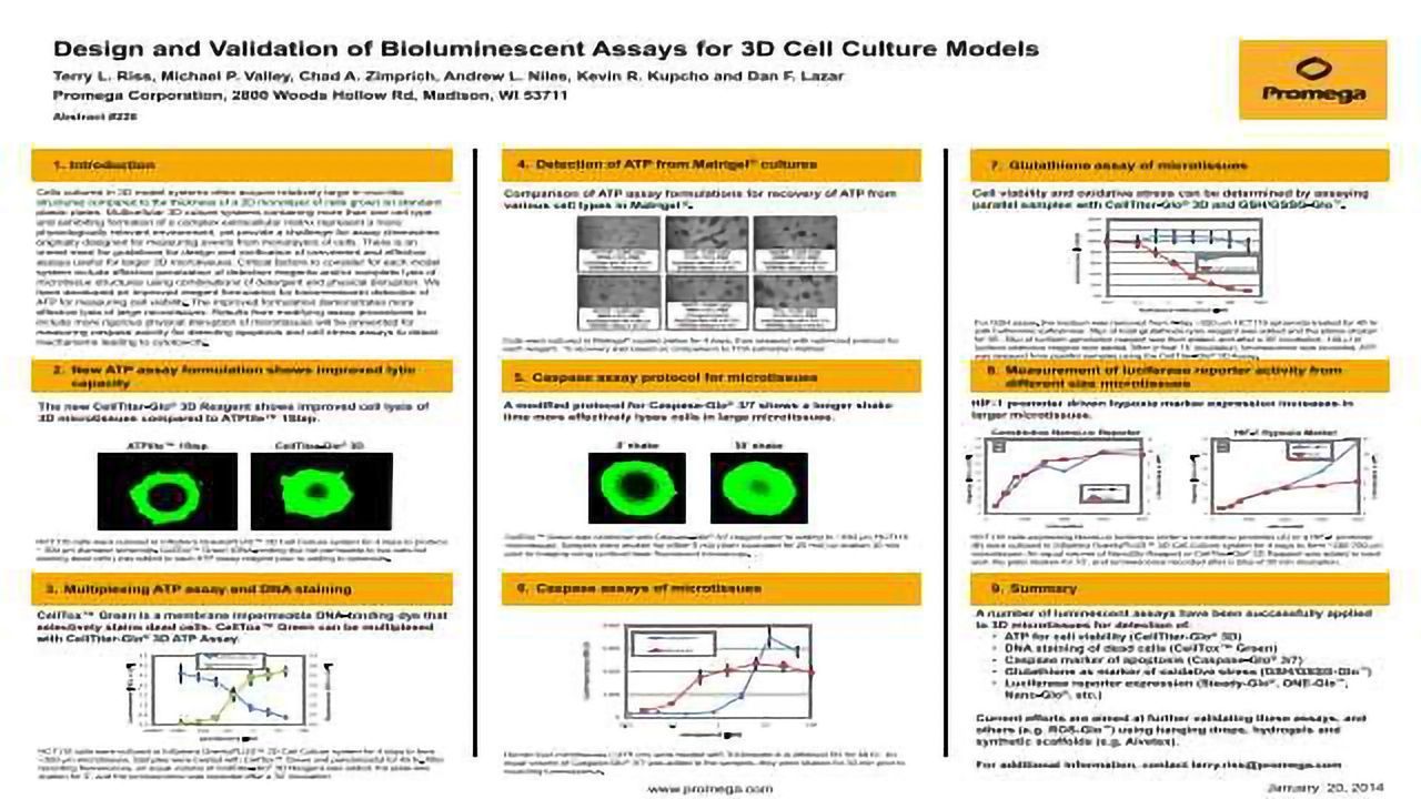 Design and Validation of Bioluminescent Assays for 3D Cell Culture Models Poster