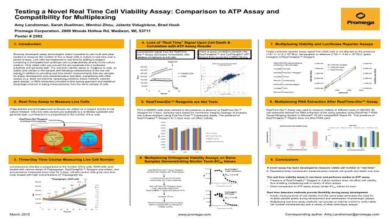 Testing a Novel Real Time Cell Viability Assay