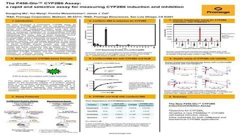The P450-Glo™ CYP2B6 Assay: a Rapid and Selective Assay for Measuring CYP2B6 Induction and Inhibition