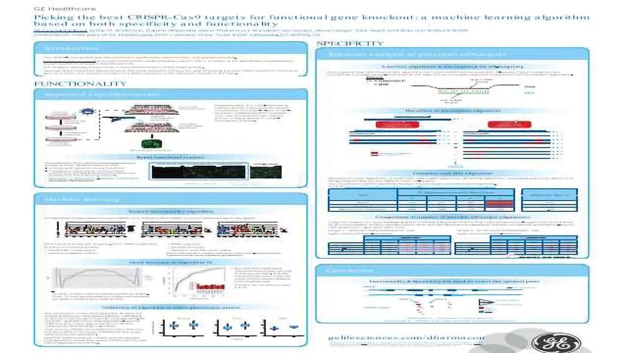 Picking the Best CRISPR-Cas9 Targets for Functional Gene Knockout: A Machine Learning Algorithm Based on Both Specificity and Functionality