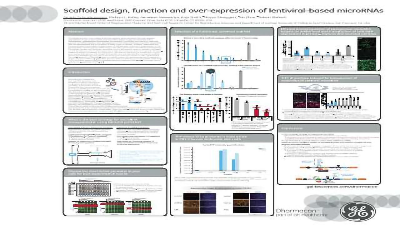 Scaffold Design, Function and Over-expression of Lentiviral-based microRNAs