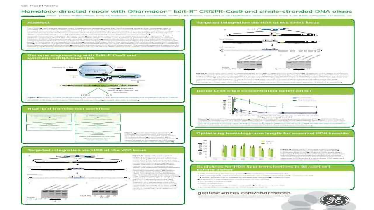 Homology-directed repair with Dharmacon™ Edit-R™ CRISPR-Cas9 and single-stranded DNA oligos