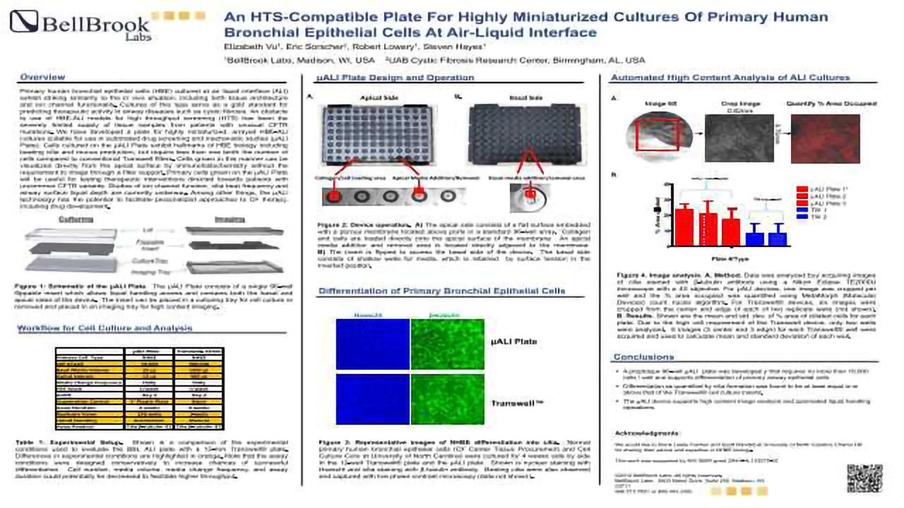 An HTS-Compatible Plate For Highly Miniaturized Cultures Of Primary Human Bronchial Epithelial Cells At Air-Liquid Interface