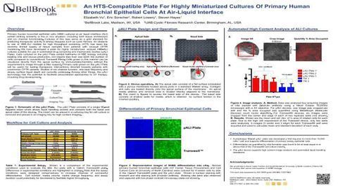 An HTS-Compatible Plate For Highly Miniaturized Cultures Of Primary Human Bronchial Epithelial Cells At Air-Liquid Interface