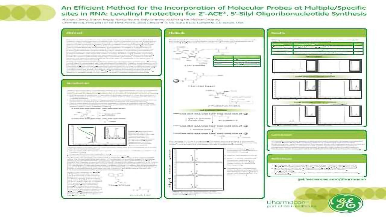 An Efficient Method for the Incorporation of Molecular Probes at Multiple/Specific sites in RNA: Levulinyl Protection for 2'-ACE ® , 5'-Silyl Oligoribonucleotide Synthesis