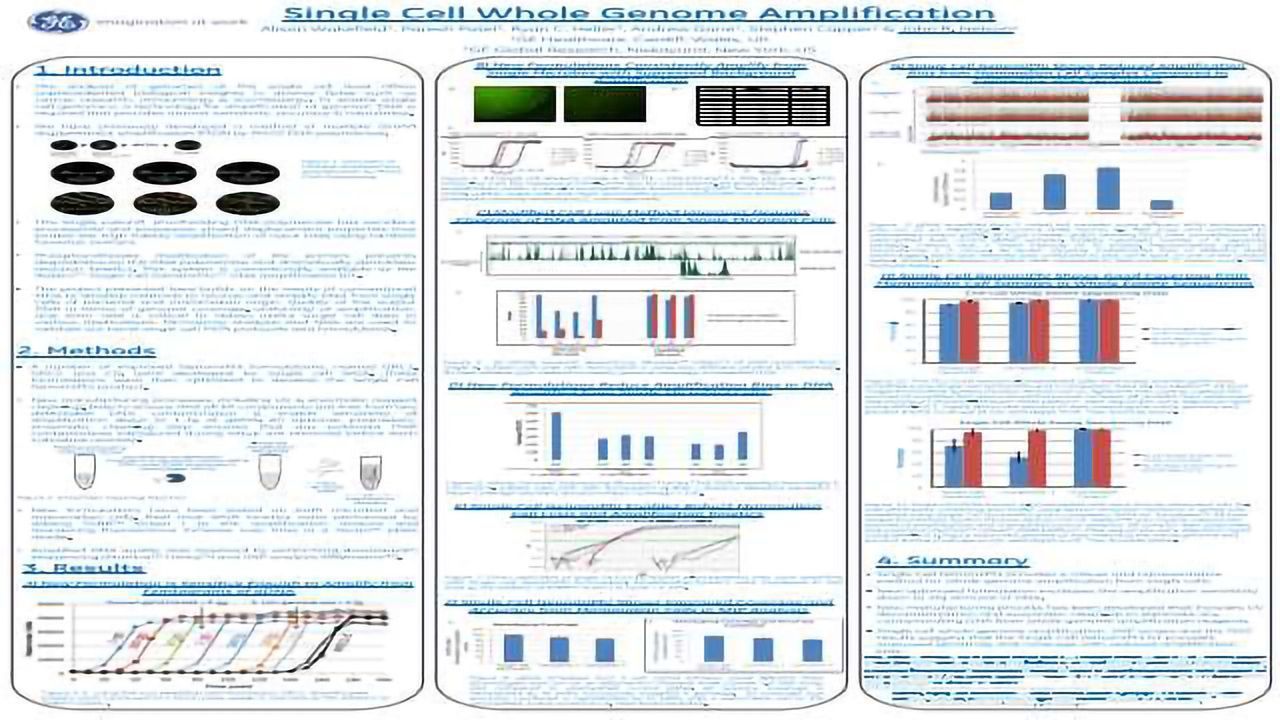 Single Cell Whole Genome Amplification