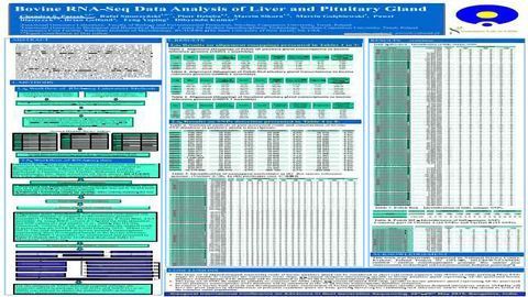 Bovine RNA-seq Data Analysis of Liver and Pituitary Gland