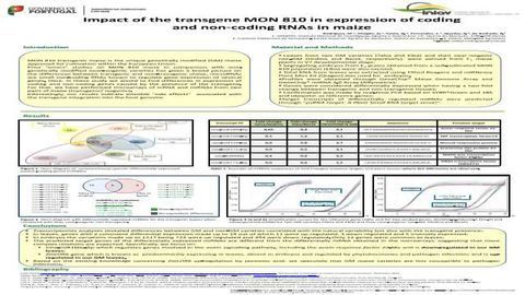 Impact of the transgene MON 810 in expression of coding and non-coding RNAs in maize