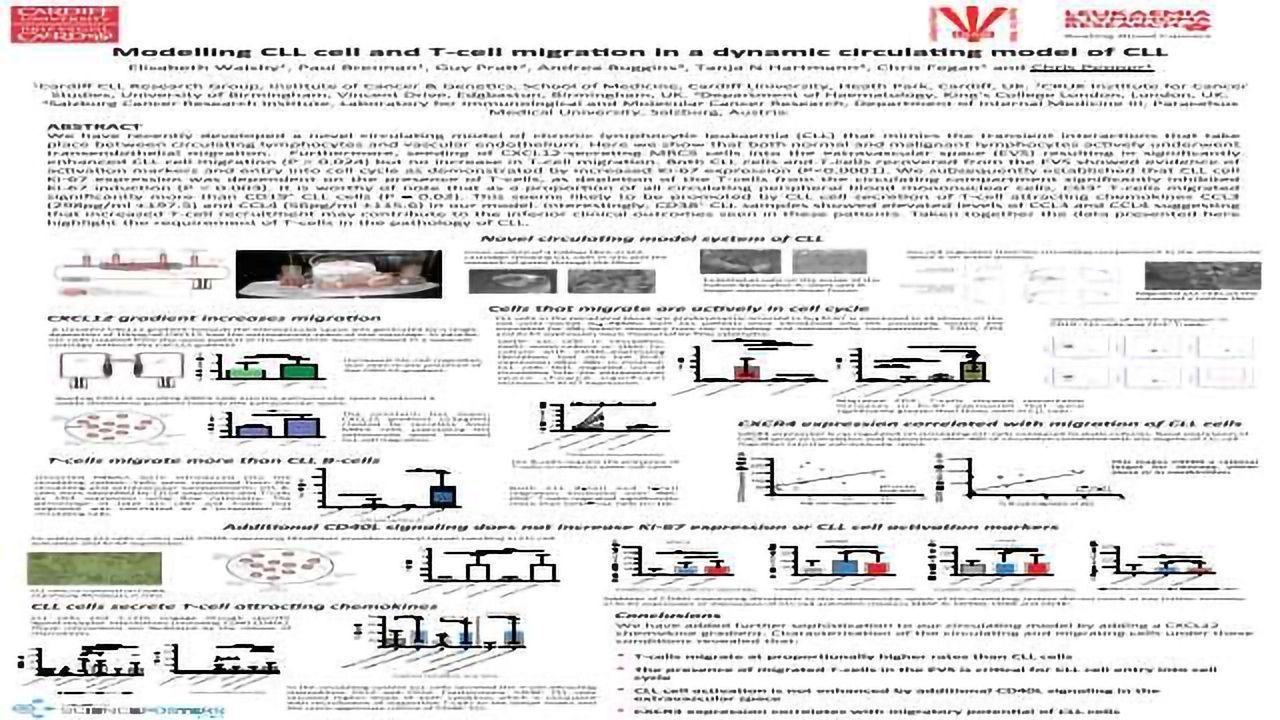 Modelling CLL cell and T-cell Migration in a Dynamic Circulating Model of CLL