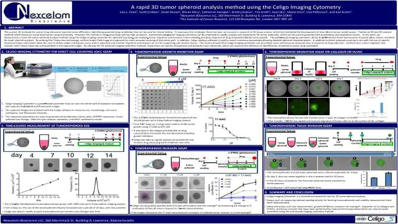 A rapid 3D tumor spheroid analysis method using the Celigo Imaging Cytometry