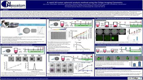 A rapid 3D tumor spheroid analysis method using the Celigo Imaging Cytometry