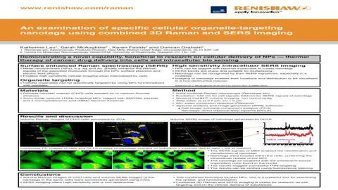 An examination of specific cellular organelle-targeting nanotags using combined 3D Raman and SERS imaging