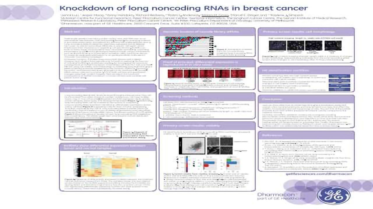 Knockdown of Long Noncoding RNAs in Breast Cancer
