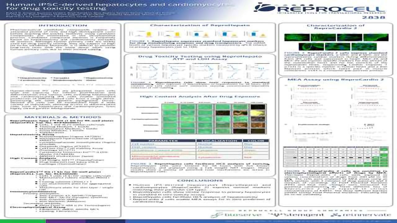 Human iPSC-derived Hepatocytes and Cardiomyocytes for Drug Toxicity Testing