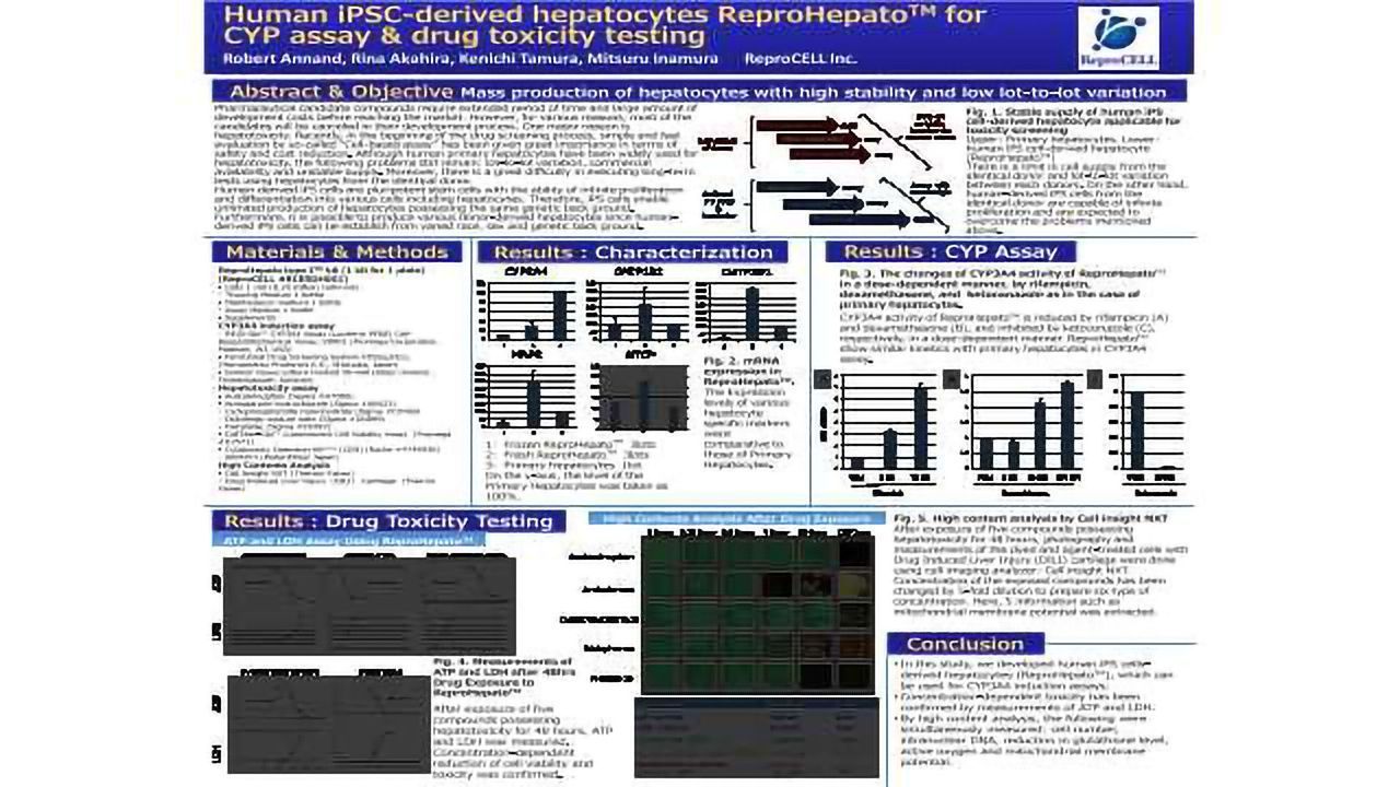 Human iPSC-derived Hepatocytes ReproHepate<sup>TM</sup> for CYP Assay and Drug Toxicity Testing
