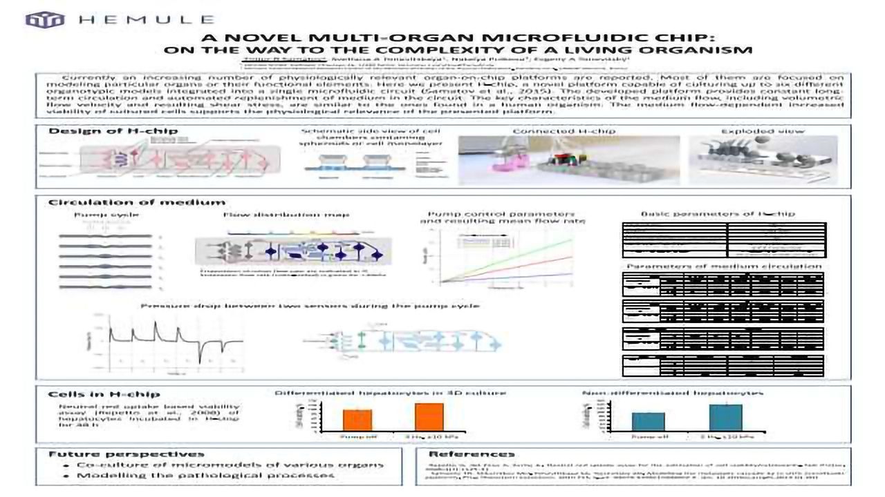 A Novel Multi-organ Microfluidic Chip: On the Way to the Complexity of a Living Organism