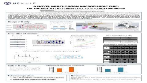 A Novel Multi-organ Microfluidic Chip: On the Way to the Complexity of a Living Organism
