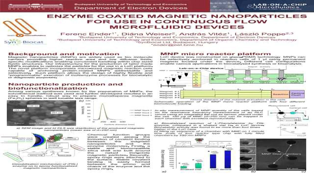 Enzyme Coated Magnetic Nanoparticles For Use In Continous Flow Microfluidic Devices