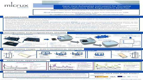 Hand-held Automated Instrument for Microchip Electrophoresis with Amperometric Detection